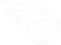 Tennessee Titans