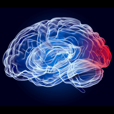 How to Get Back In the Game After Sustaining a Concussion - Q30